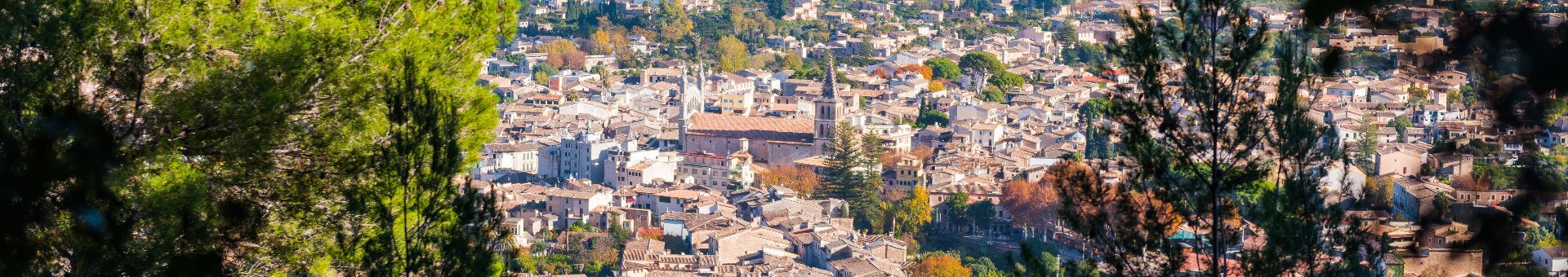 Sóller