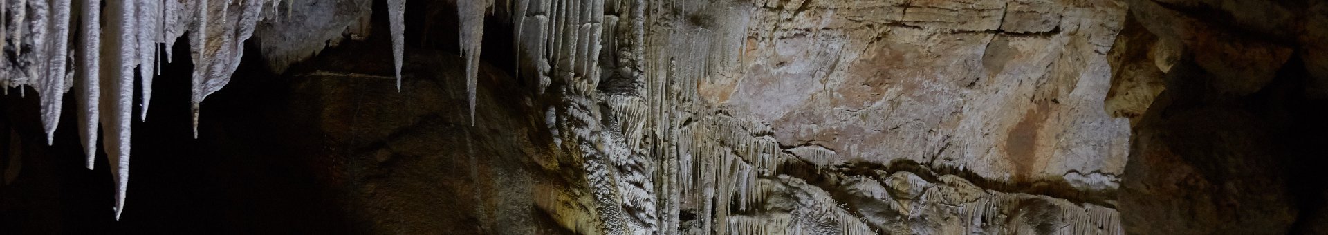 Coves de Campanet