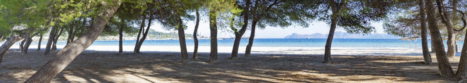 Playa de Alcudia