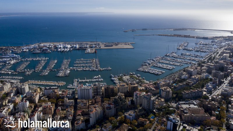 Actual Transitorio Concesión Puerto de Palma de Mallorca | Puerto | Más de 2000 amarres